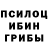 Галлюциногенные грибы MAGIC MUSHROOMS Tvink