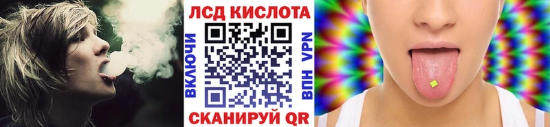Марки NBOMe 1,8мг купить наркотики сайты Курчалой