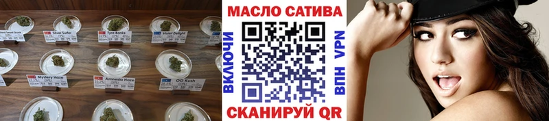 купить наркоту  Курчалой  KRAKEN как войти  Дистиллят ТГК жижа 
