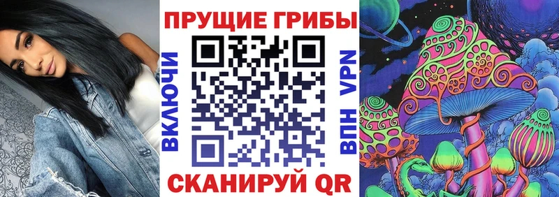 сколько стоит  Курчалой  Псилоцибиновые грибы GOLDEN TEACHER 